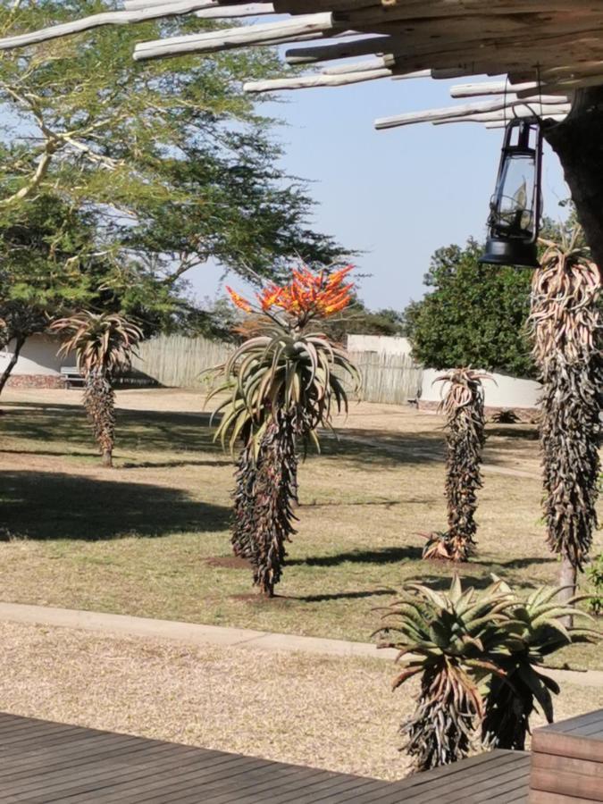 Bayala Private Safari Lodges Hluhluwe Exterior photo